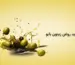 خرید روغن زیتون با بو اصل در تهران