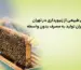 خرید عسل طبیعی از زنبورداری در تهران | فروش مستقیم عسل اصل