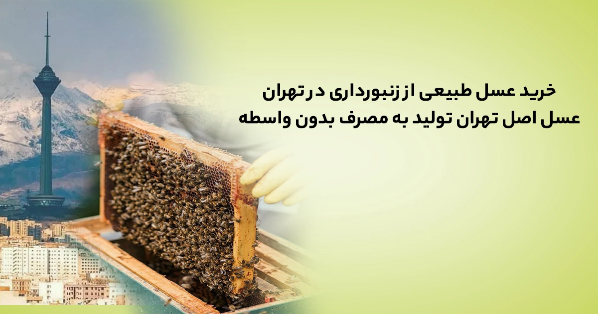 خرید عسل طبیعی از زنبورداری در تهران | فروش مستقیم عسل اصل