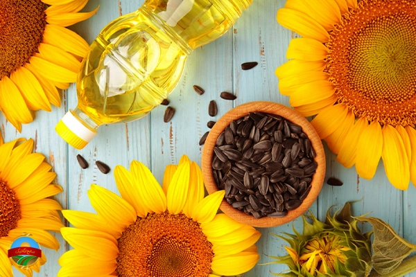 فواید روغن آفتابگردان زیرو ترانس برای سلامت بدن