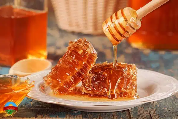 راهنما خرید عسل طبیعی در قم 1 انواع عسل موجود در بازار قم