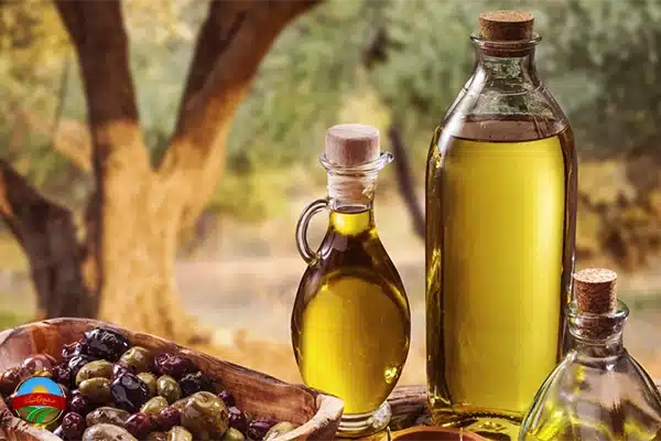 نکات مهم خرید روغن زیتون بدون بو