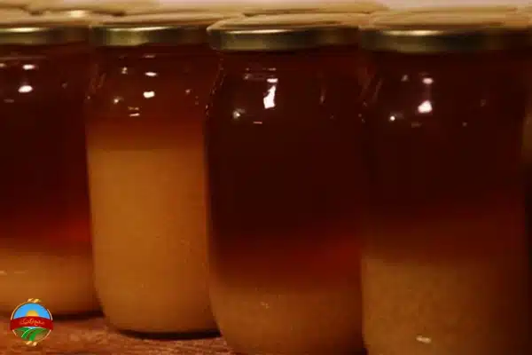 راهنما خرید عسل طبیعی در قم 3 تست شکرک زدن