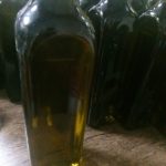 روغن زیتون از زیتونهای باغهای شمال